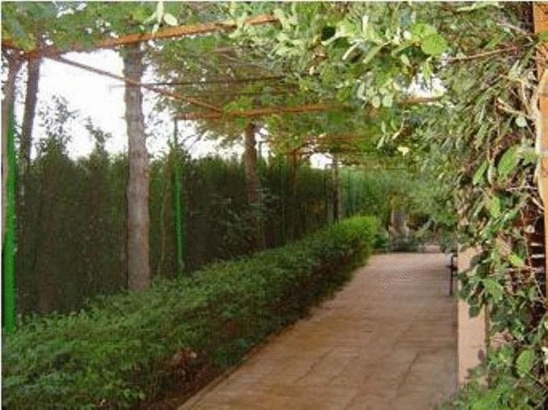 Casa Rural Entre Volcanes De Almagro Ngoại thất bức ảnh